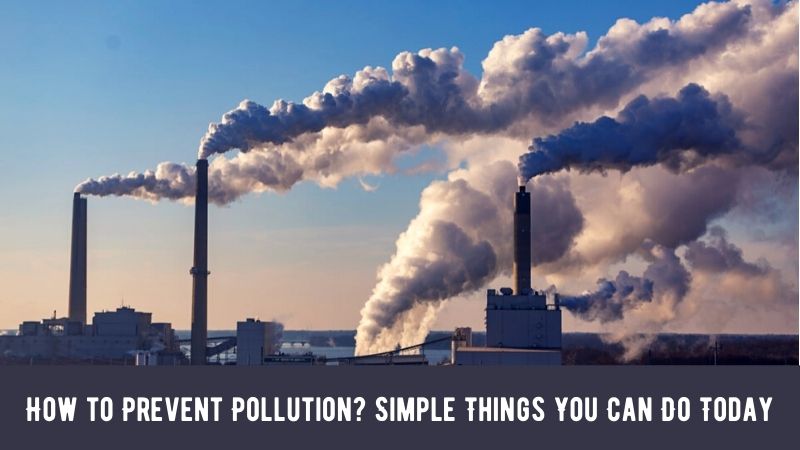 How to Prevent Pollution