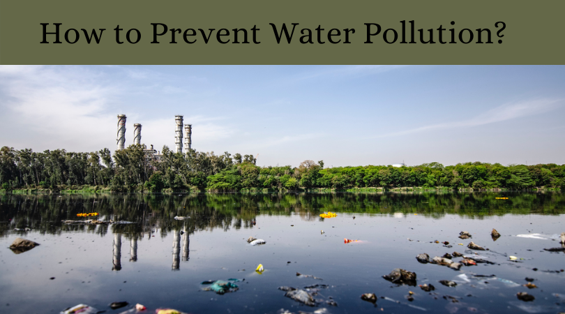 How to Prevent Water Pollution